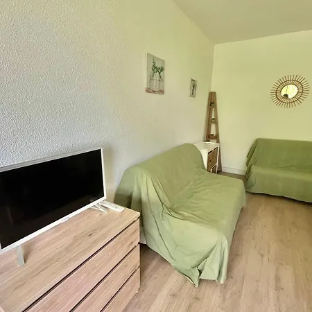Climatise Avec Terrasse, Piscine Et Parking A - 4 Pers - Fr-1-716-54 *